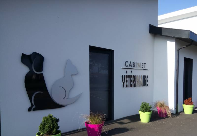 Vétérinaire biscarrosse